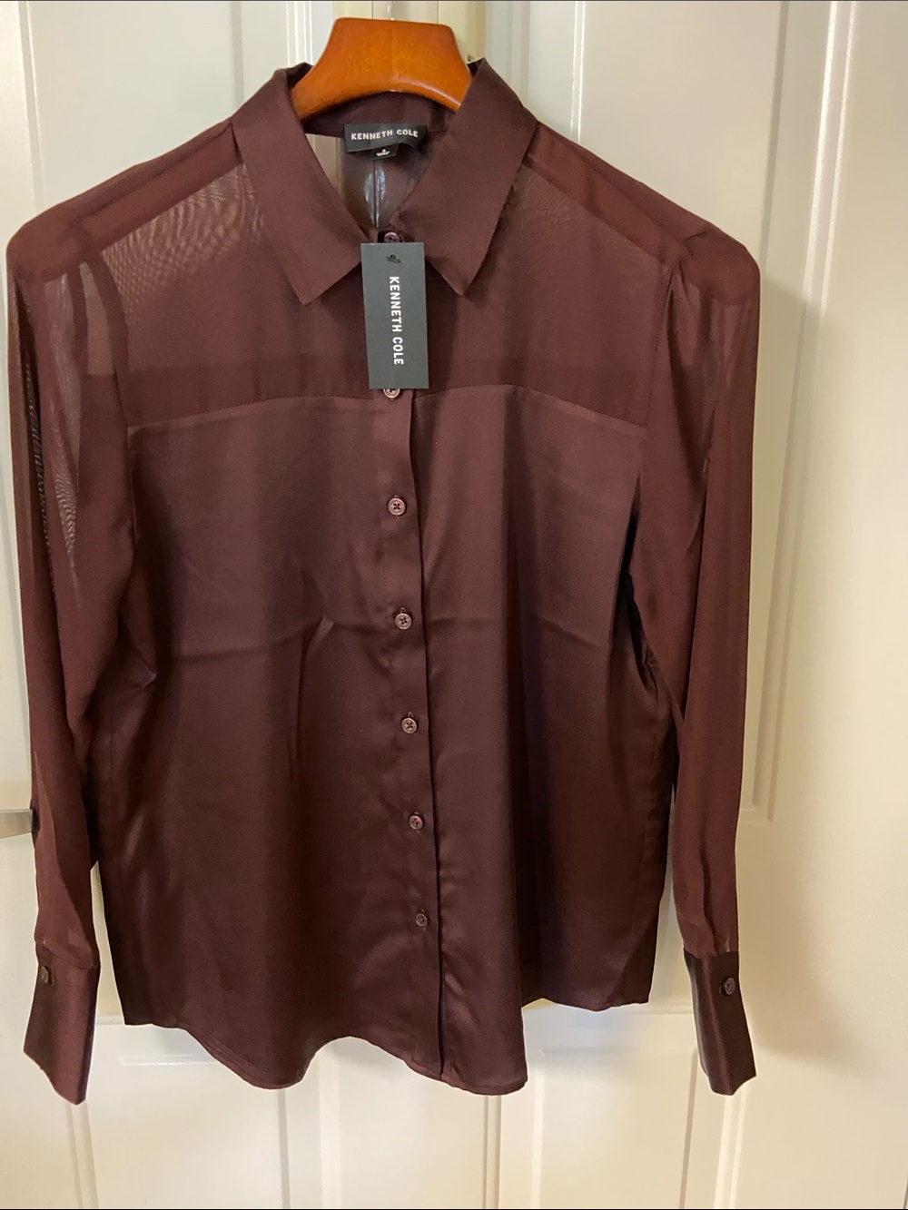 Maroon Silky Blouse with Sheer Sleeves and Upper Part of Blouse